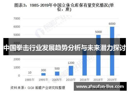 中国拳击行业发展趋势分析与未来潜力探讨