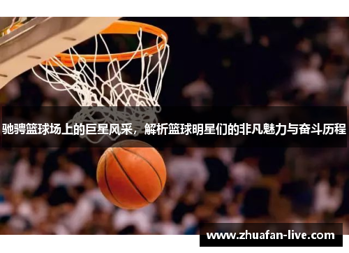 驰骋篮球场上的巨星风采，解析篮球明星们的非凡魅力与奋斗历程